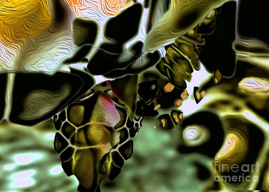 Golden Turtle 5 Digital Art by Aldane Wynter