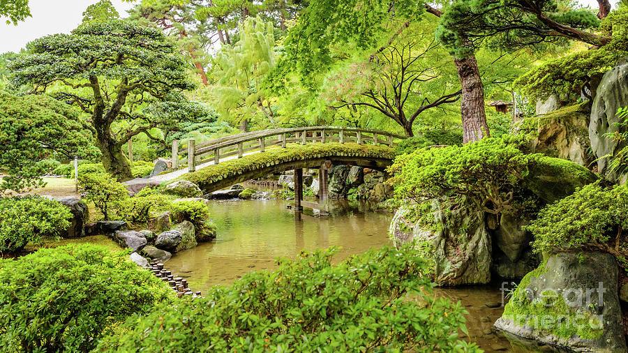 Gonaitei garden, Kyoto imperial palace Photograph by Lyl Dil Creations