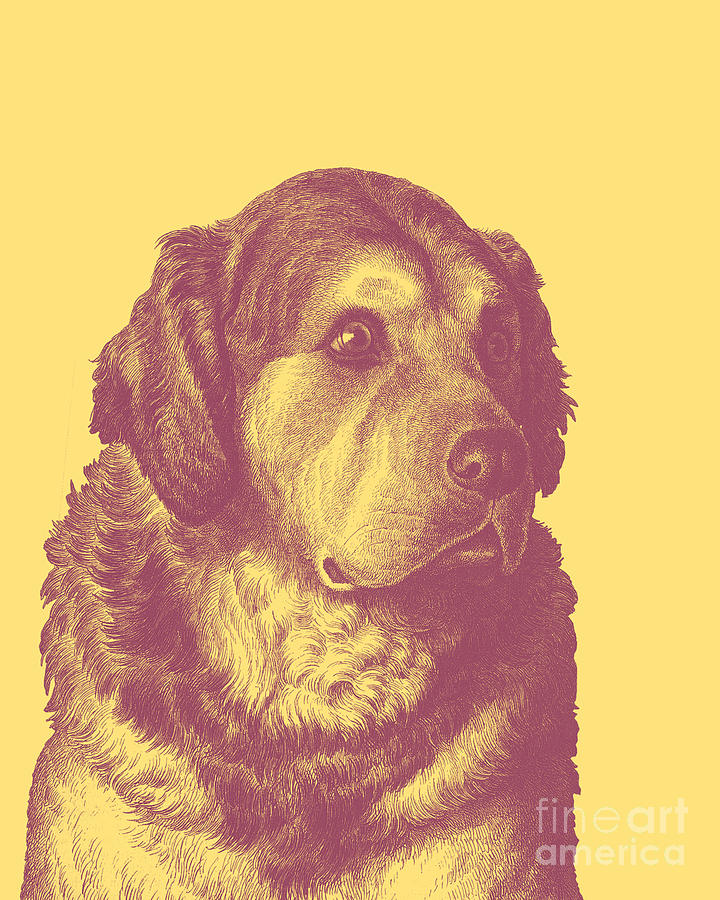 Dog Digital Art - Good Boy #1 by Madame Memento