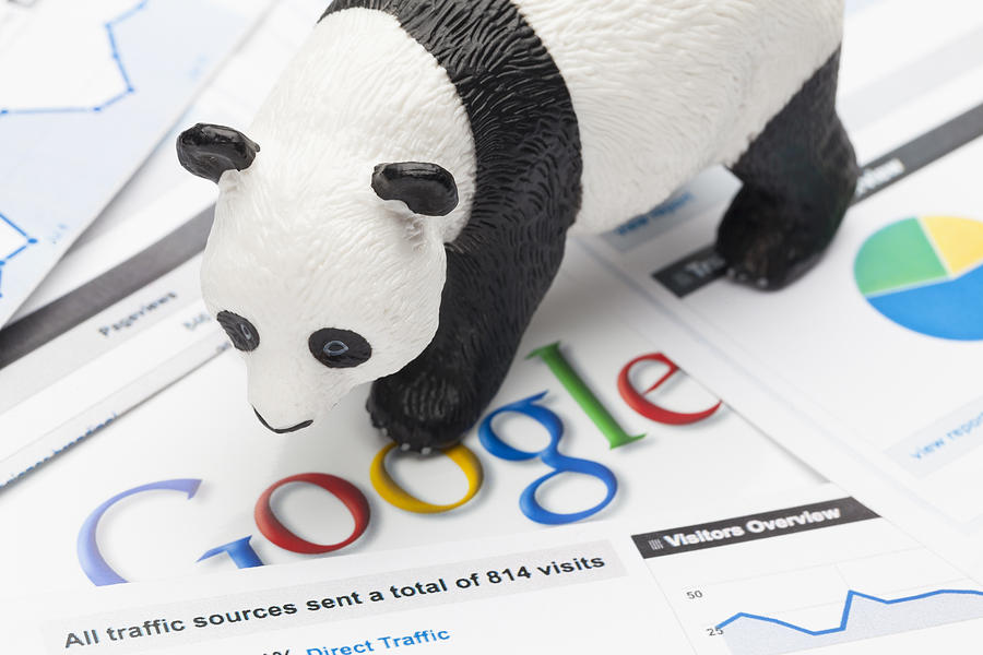 Google Panda and Penguin #1 Photograph by -Oxford-