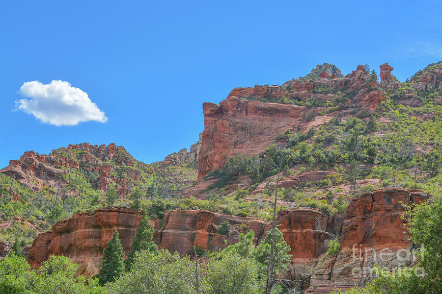 17 Gorgeous Drive Of Red Rock In The Oak Creek Canyon On Coconino National Forest Sedona 1394