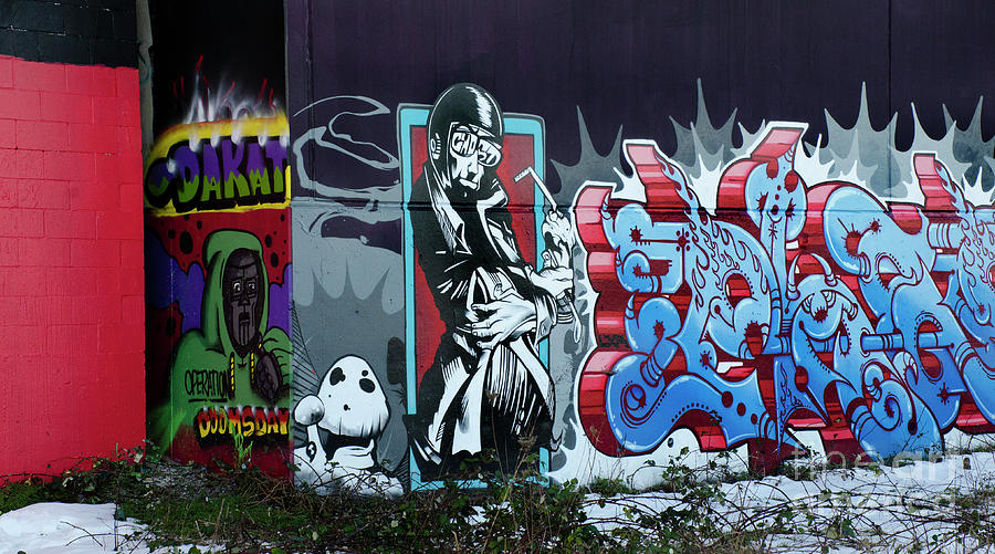 Graffiti Masters 16 #2 Photograph by Bob Christopher
