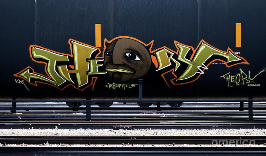 Graffiti On The Rails 21 Photograph by Bob Christopher