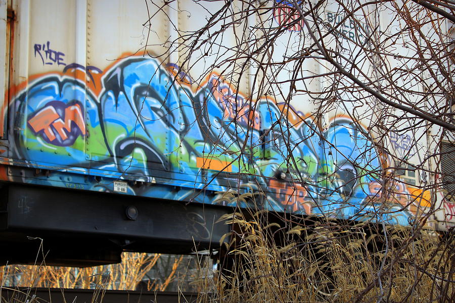 Graffiti Train Car in Winter #1 Photograph by Joseph Skompski