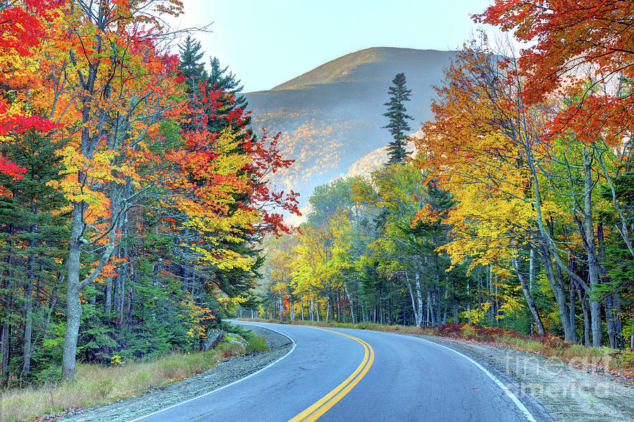 Grafton Notch State Park Photograph by Denis Tangney Jr - Fine Art America