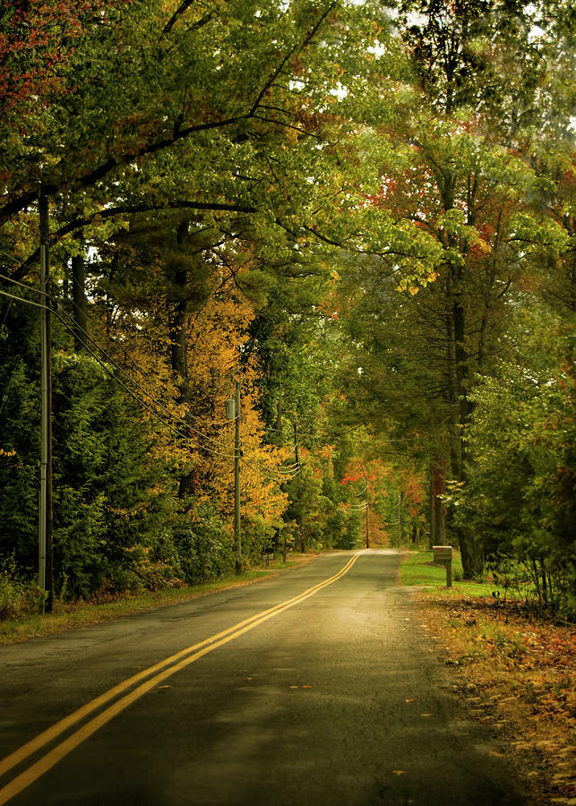 Granby, Massachusetts road in autumn #1 Photograph by Cordia Murphy