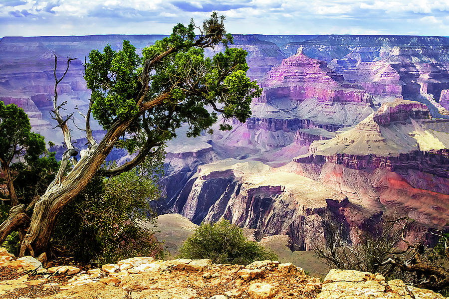 Grand Canyon -3 #1 Photograph by Alan Hausenflock