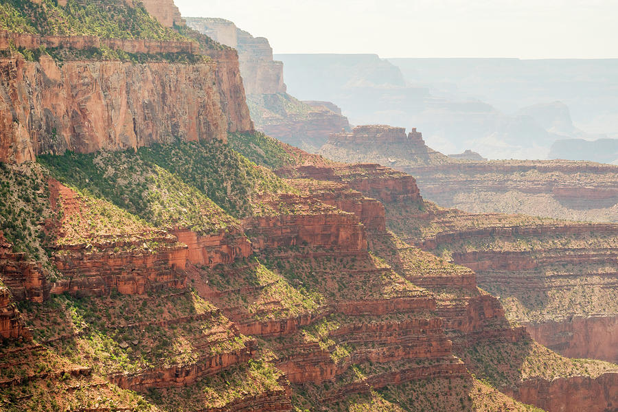 Grand Canyon Contrast  Photograph by Jessica Yurinko