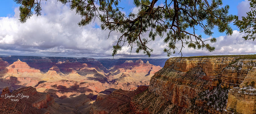 Grand Canyon #1 Photograph by G Lamar Yancy