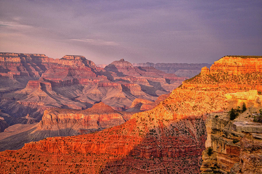 Grand Canyon Golden Hour Glory  Photograph by Chance Kafka