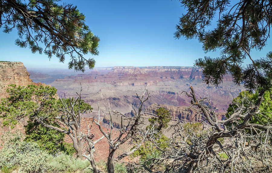 GRAND CANYON Impression from Navajo Point Photograph by Melanie Viola ...