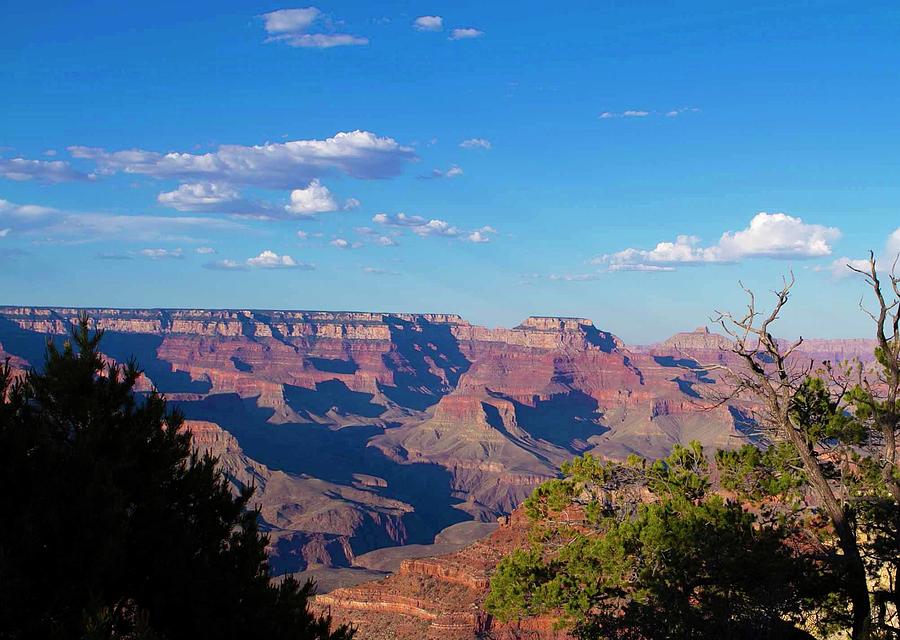 Grand Canyon #1 Photograph by Karen Ruhl