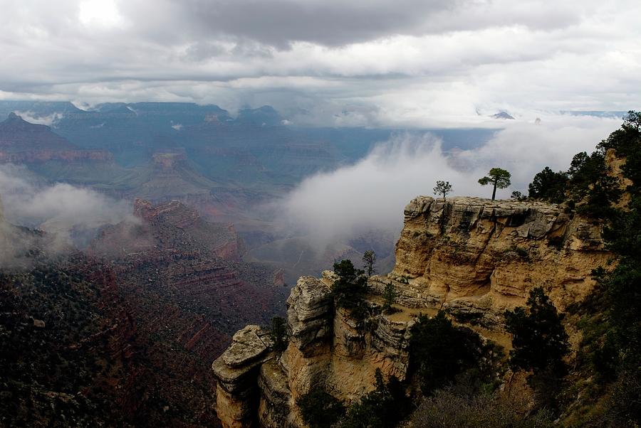 Grand Canyon National Park #2 Photograph by Bob Pardue