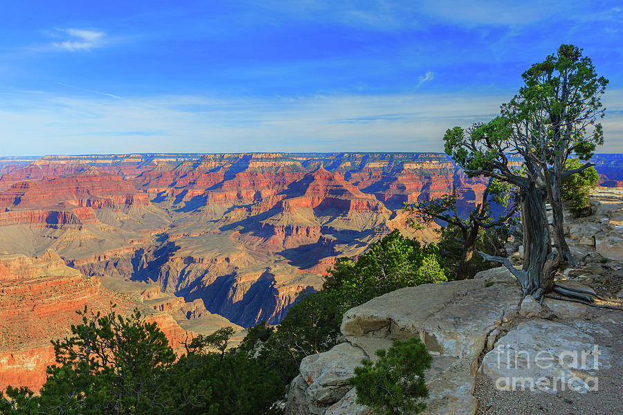 Grand Canyon National Park #1 Photograph by Henk Meijer Photography