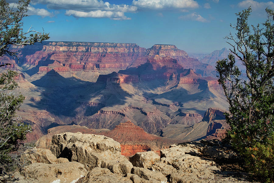 Grand Canyon National Park #1 Photograph by Robert Blandy Jr