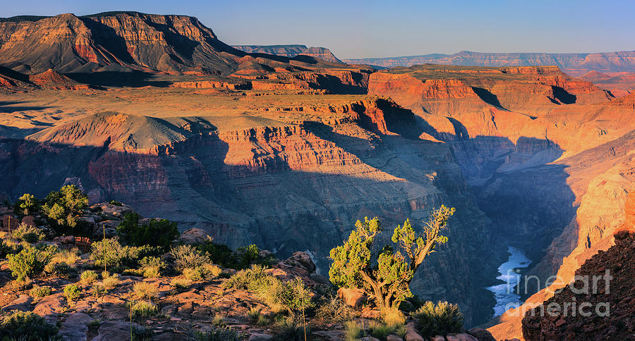 Grand Canyon N.P North Rim with the view from Toroweap #1 Photograph by Henk Meijer Photography