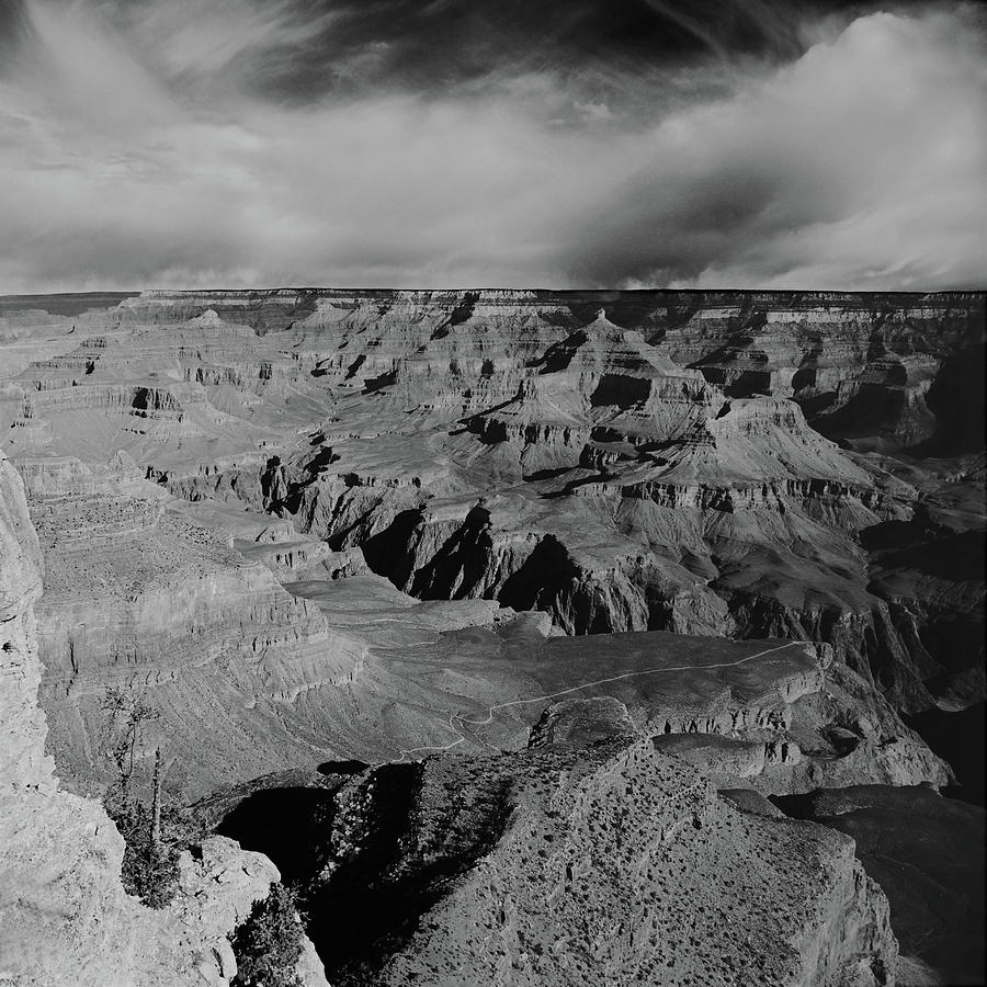 Grand Canyon Trail #1 Photograph by Tom Daniel