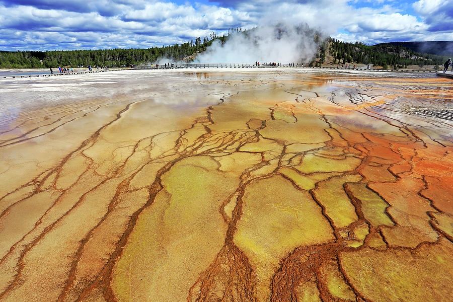 Grand Prismatic Spring in Yellowstone #1 Photograph by Shixing Wen