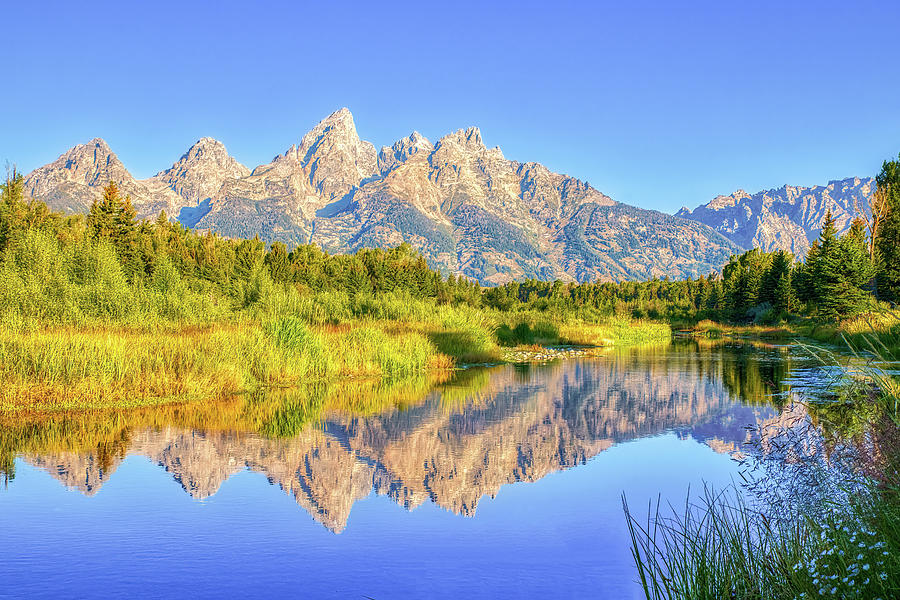 Grand Teton Mountains with Reflection at Schwabacher Landing in  #1 Photograph by Peter Ciro