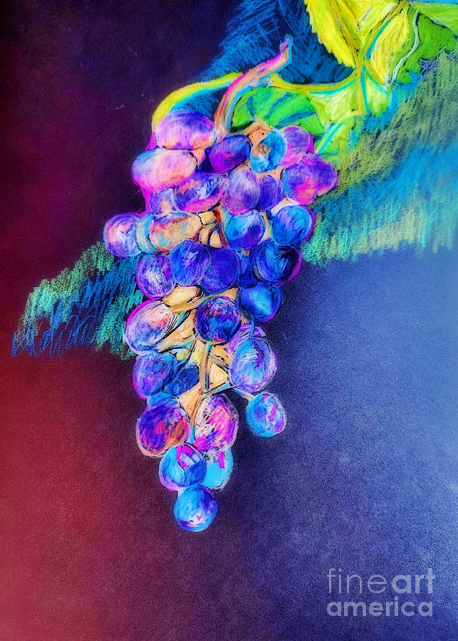 Grape Vine Drawing