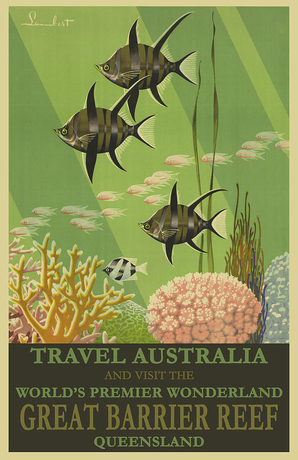 Vintage Drawing - Great Barrier Reef, Australia Travel Poster #1 by Travel Poster
