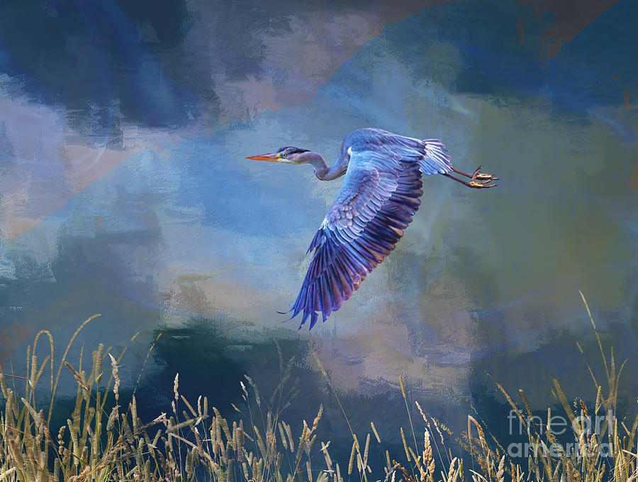 Great Blue Heron in Flight #1 Digital Art by Judi Bagwell