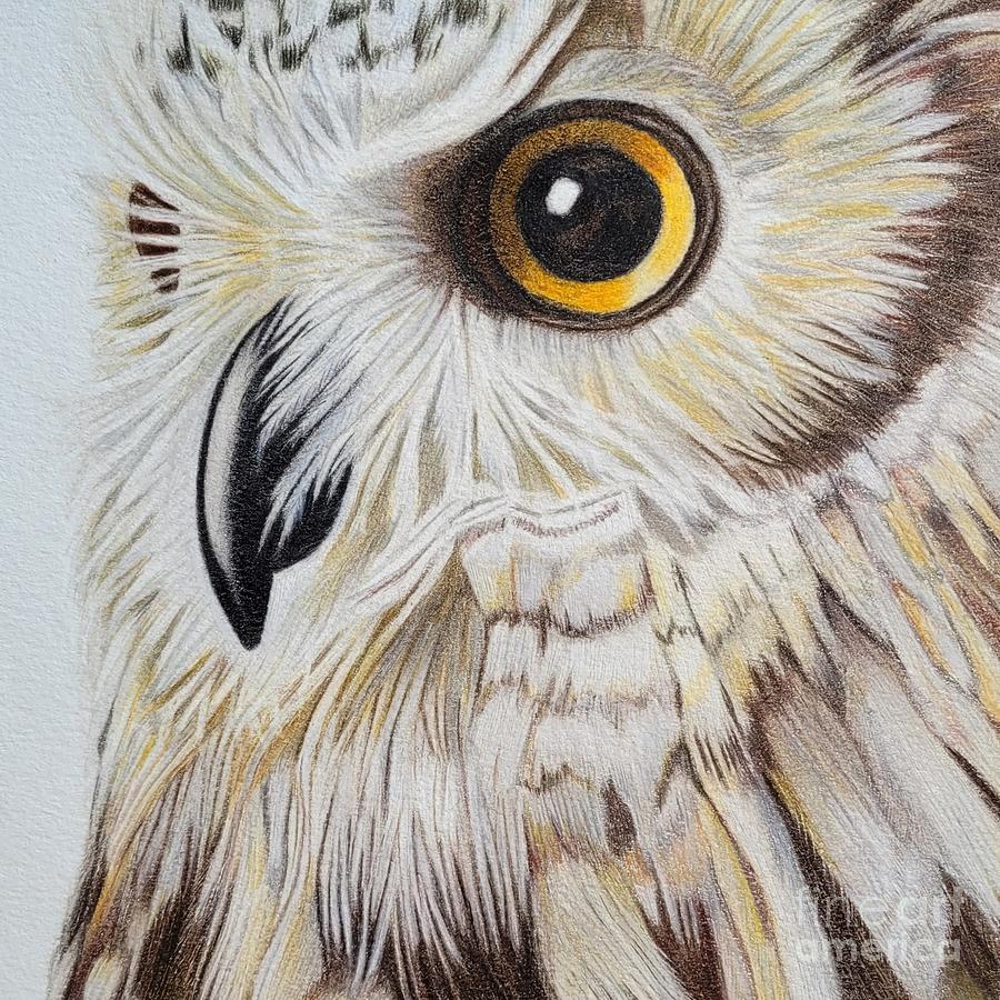 Great Horned Owl Drawing by Susan Barwell