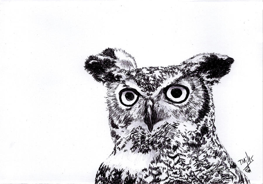 Great Horned Owl #1 Drawing by Terri Mills