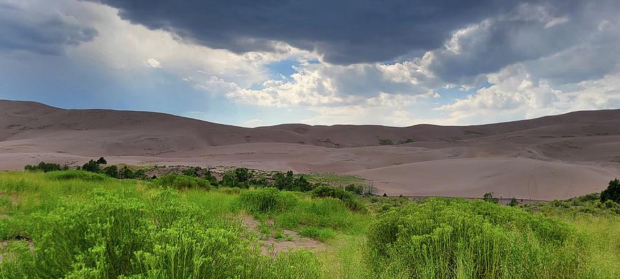 Great Sand Dunes National Park  #1 Photograph by Ally White