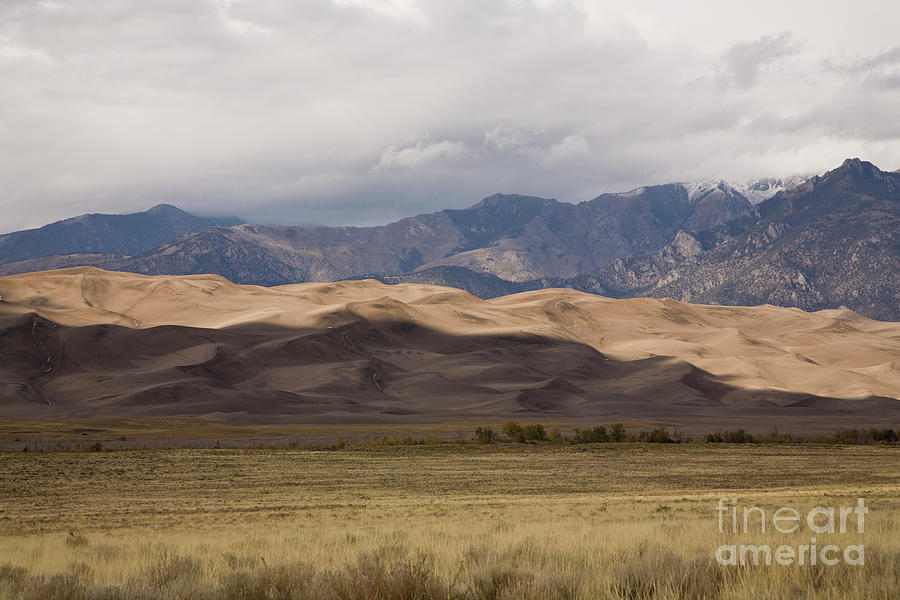 Great Sand Dunes #1 Photograph by Timothy Johnson