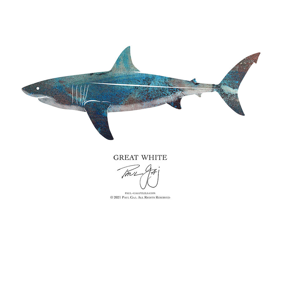 Great White Shark #1 Mixed Media by Paul Gaj
