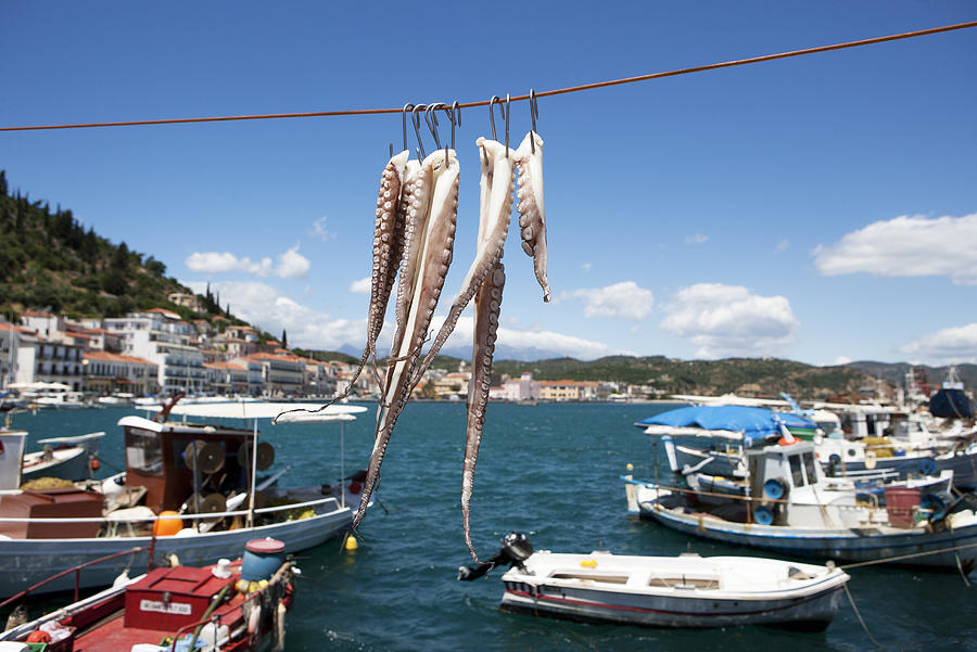 Greece, Gythio, squid hanging to dry in harbor #1 Photograph by Westend61