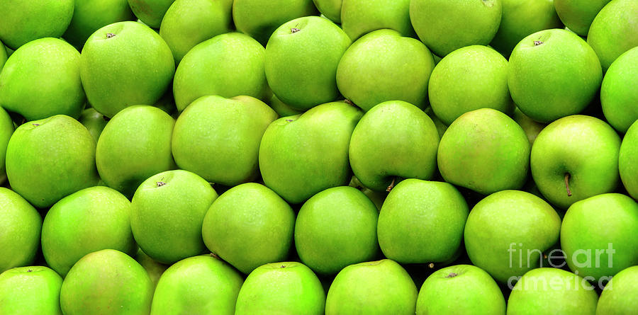 Green apples #1 Photograph by Jelena Jovanovic