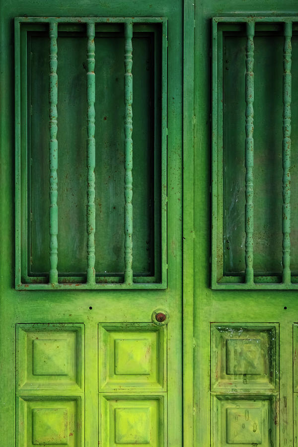 Green door #2 Photograph by Gary Browne