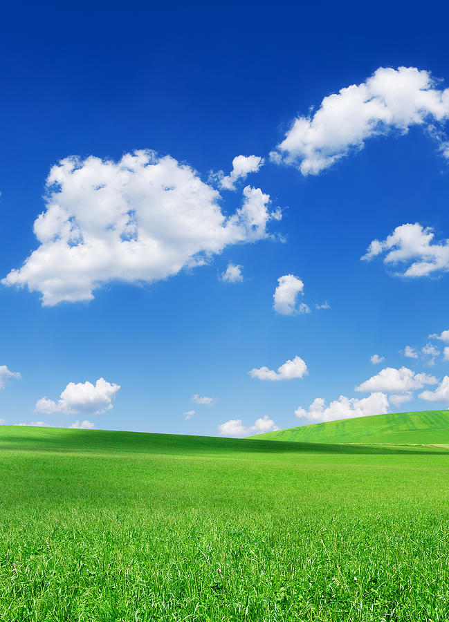 Green field and white clouds in the blue sky #1 Photograph by Trout55