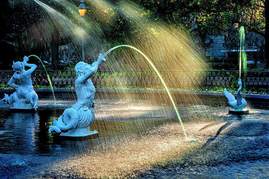 Green Forsyth Fountain #1 Photograph by Tom Singleton