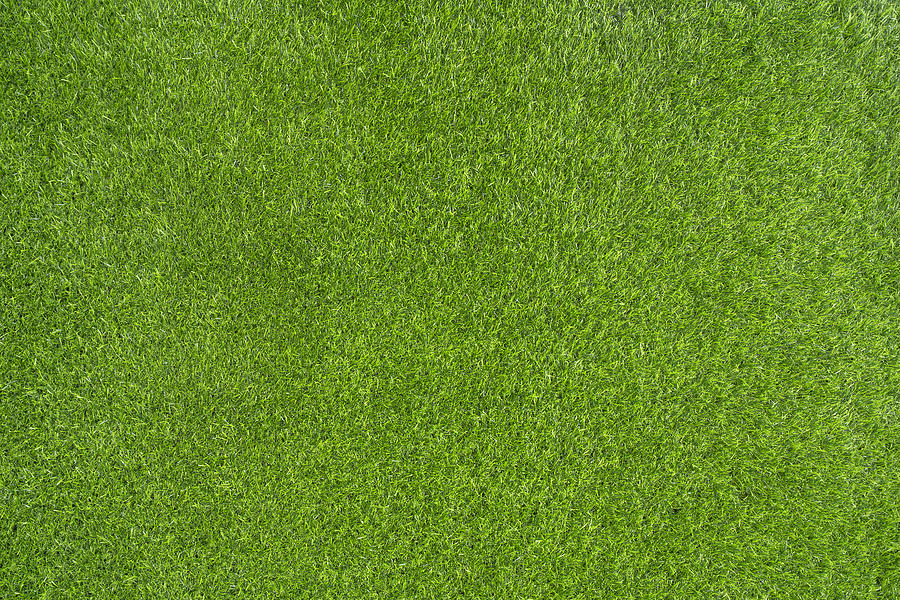 Green grass background #1 Photograph by Xinzheng