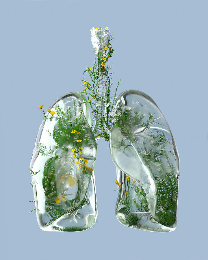 Green Lungs #1 Photograph by Andriy Onufriyenko