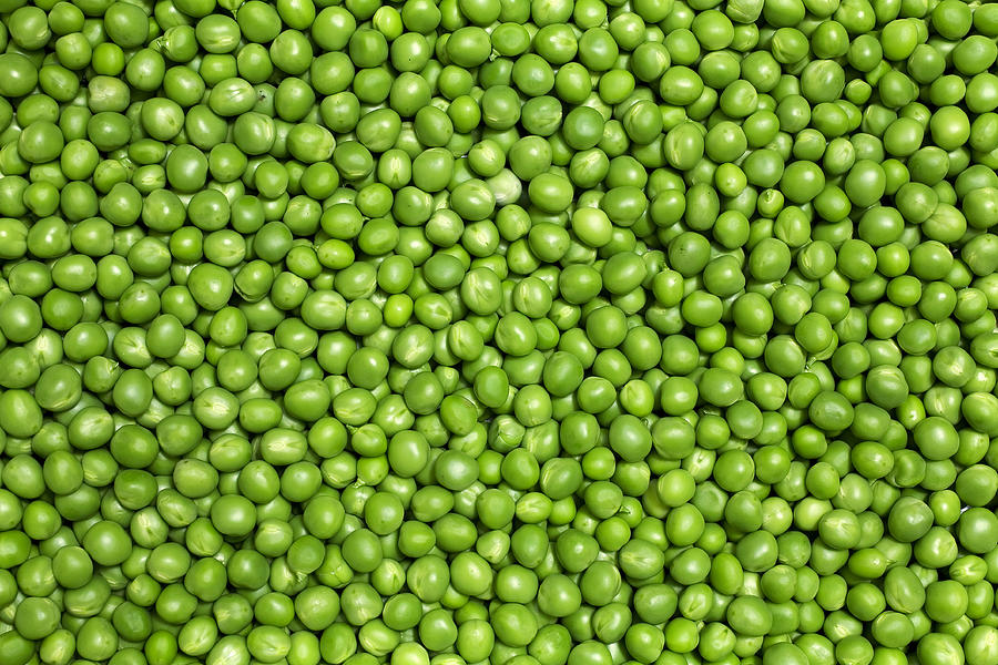 Green peas #1 Photograph by Sbayram