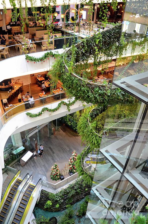 Green vertical interior design of Emquartier shopping mall dining floors  Bangkok Thailand by Imran Ahmed