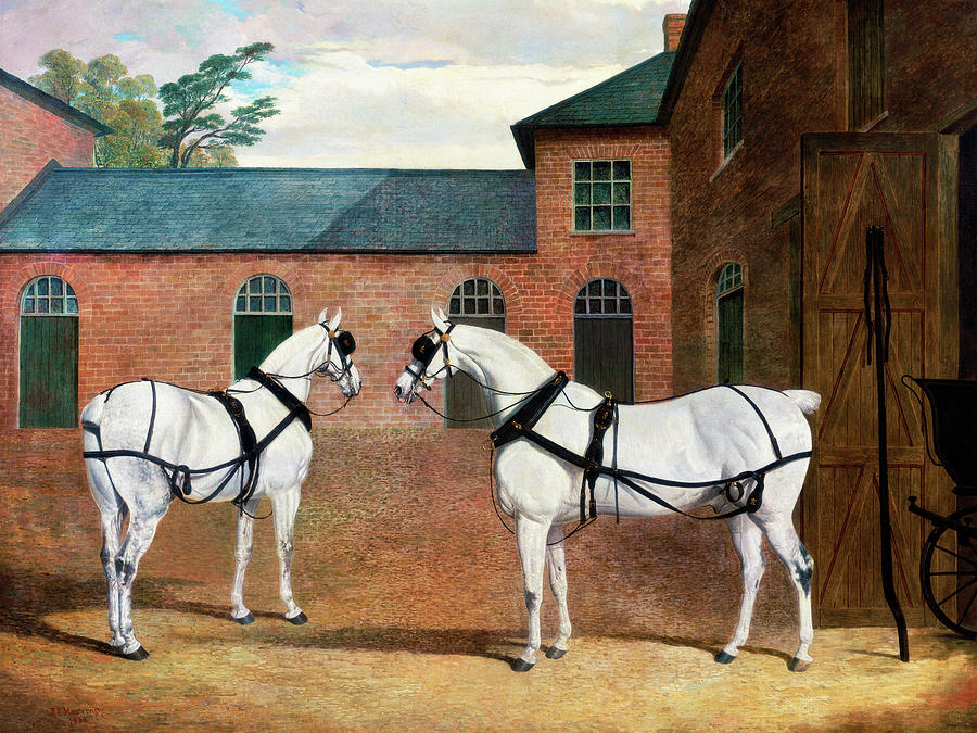 Grey carriage horses in the coachyard at Putteridge Bury, Hertfordshire #1 Painting by John Frederick Herring