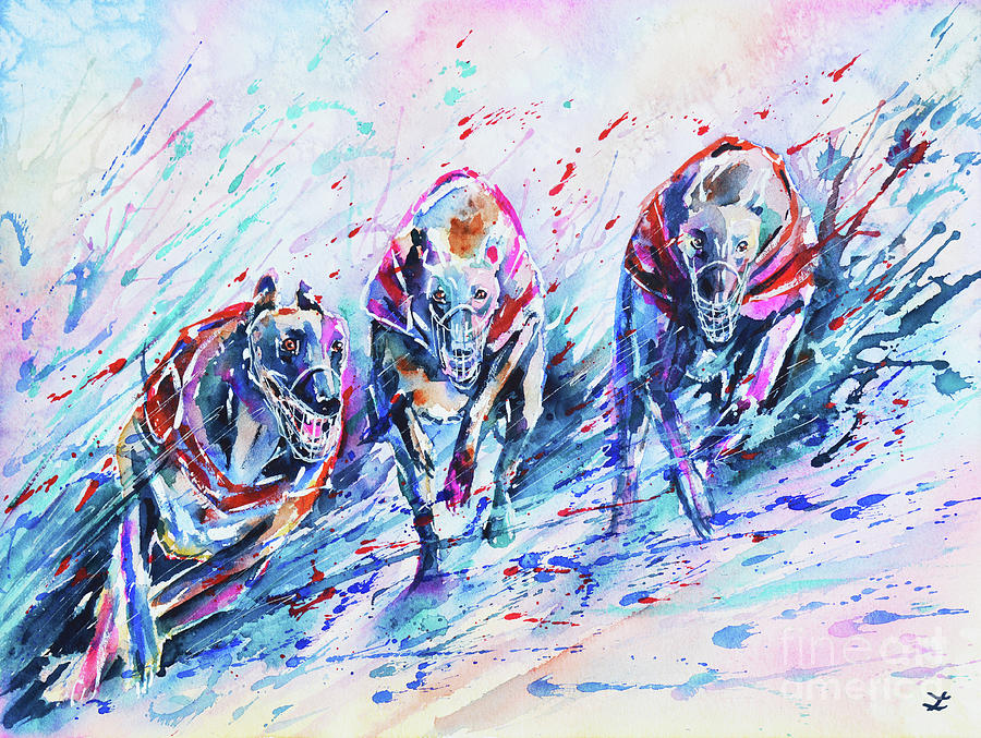 Greyhound Racing Painting By Zaira Dzhaubaeva Fine Art America