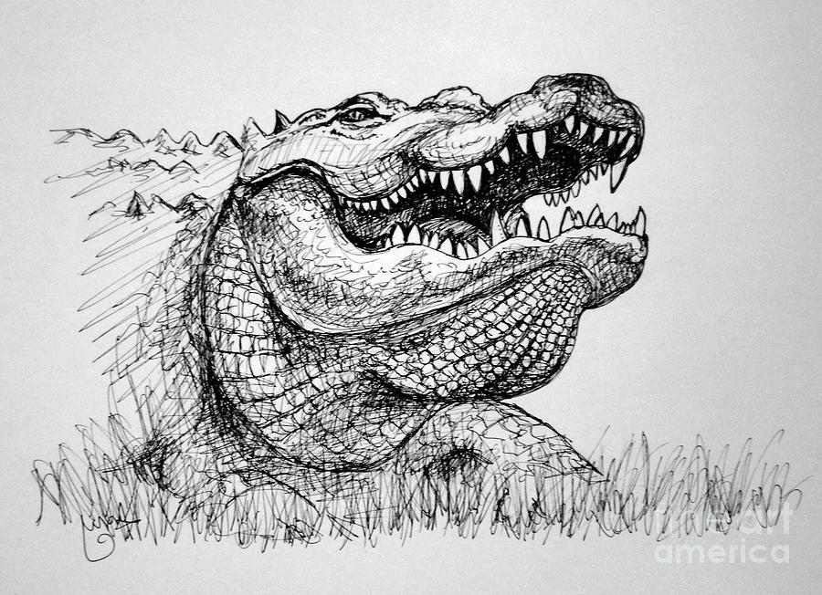 Grinning Gator #2 Drawing by Amy Stielstra
