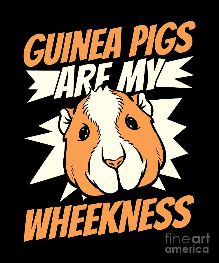 Guinea Pigs Are My Wheekness American Crested Guinea Pigs Digital Art ...