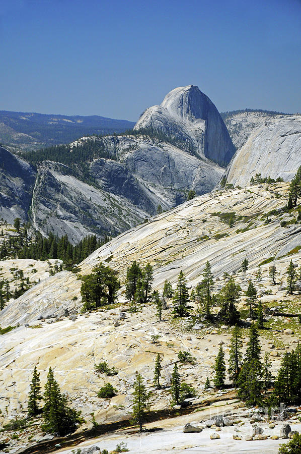 Half Dome from Olmstead Point #1 Photograph by Cindy Murphy