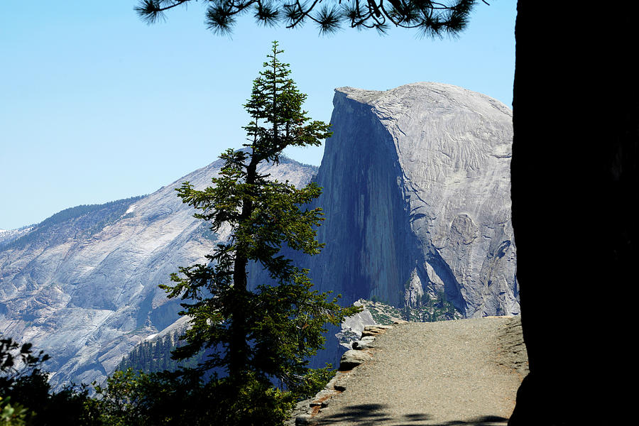 Half Dome in Yosemite #1 Photograph by Rick Wilking