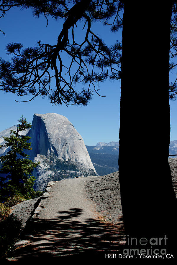 Half Dome #1 Photograph by Ivete Basso Photography