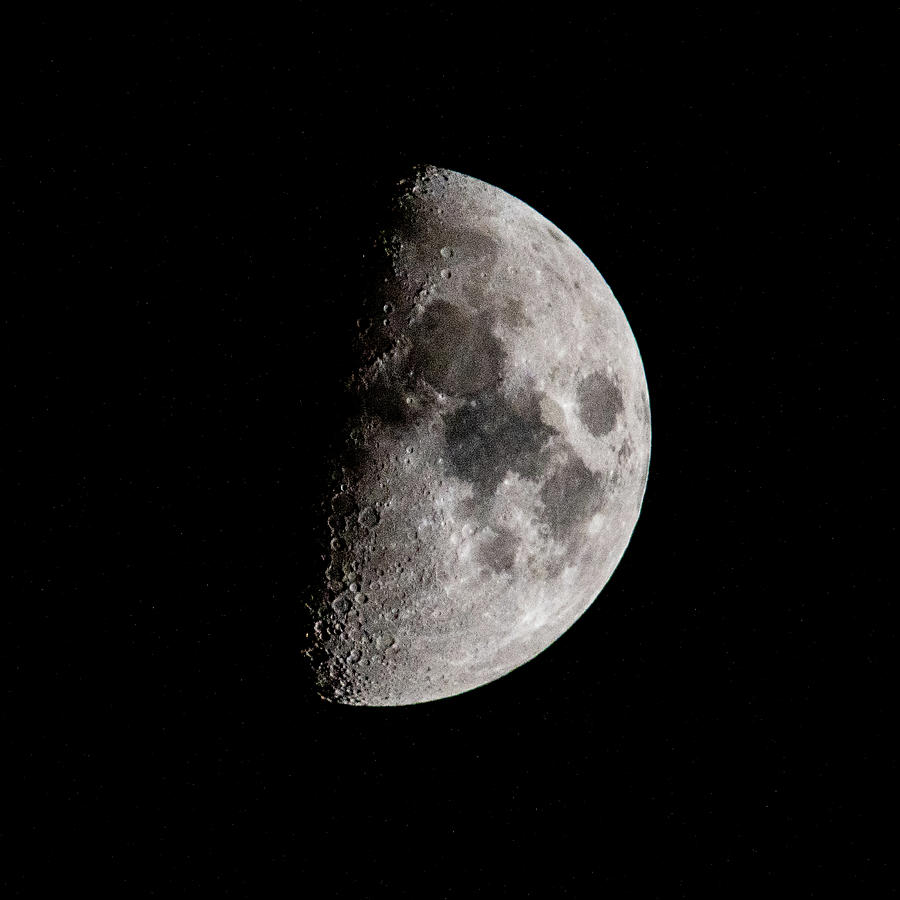 Half Moon In The Night Sky In December #1 Photograph by Alex Grichenko