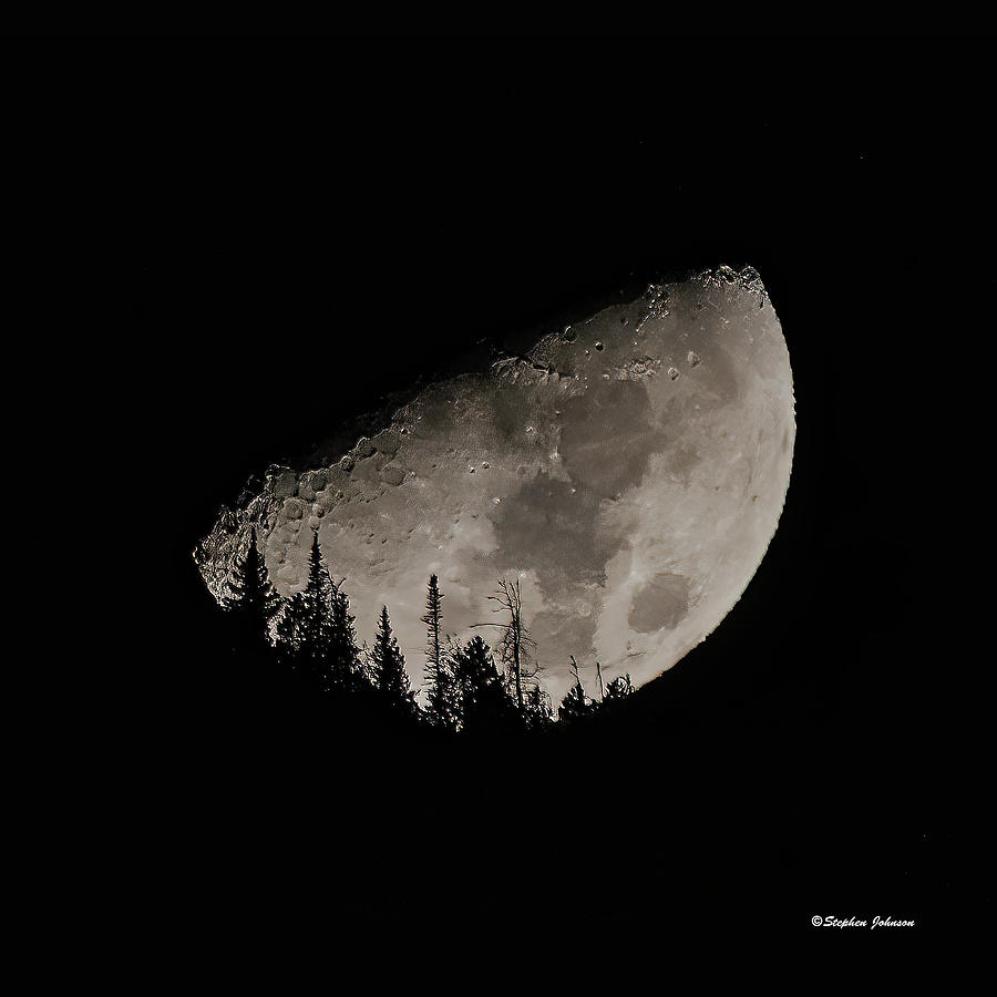 Half Moon in the Trees #1 Photograph by Stephen Johnson