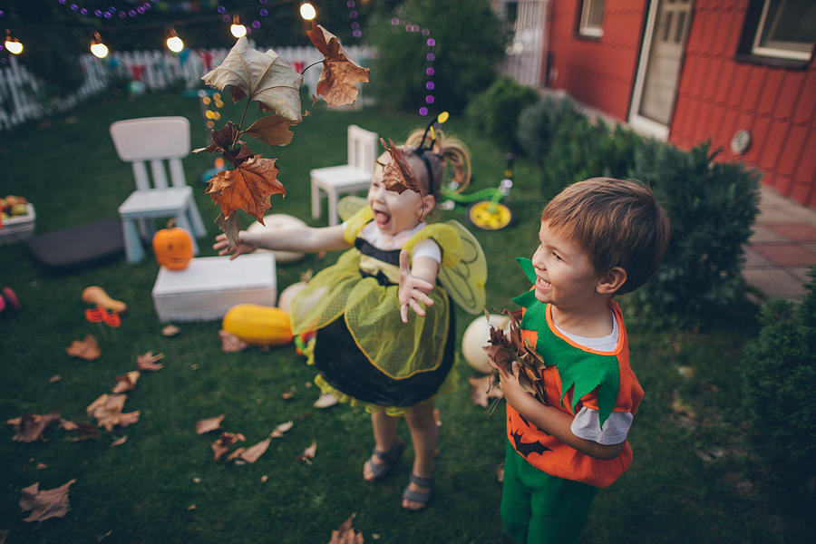 Halloween in our backyard #1 Photograph by AleksandarNakic